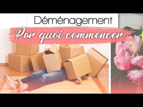 DÉMÉNAGEMENT, par quoi commencer ?