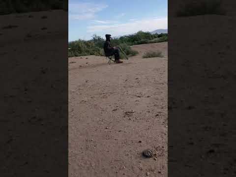 Rio Ammunition BluSteel - Choice of the Migration Nation!