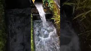 Download lagu Segarnya pagi² dengar suara air mancur!! #catkapal #lemepoxy #epoxy #shorts #subscribe mp3