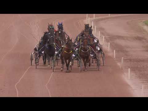 Grand National du Trot Paris-Turf 2019 - Etape 6 Laval - La course - CALASKA DE GUEZ