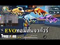 ฟีฟาย