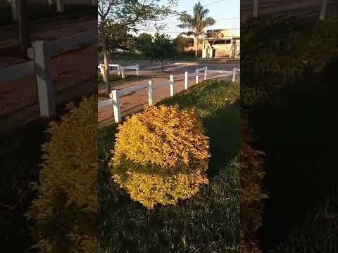 La Lajitas esta cerca de La Mendieta y San Pedro de Jujuy