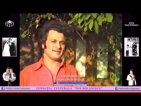 Ion Dolănescu - Am un pom în bătătură