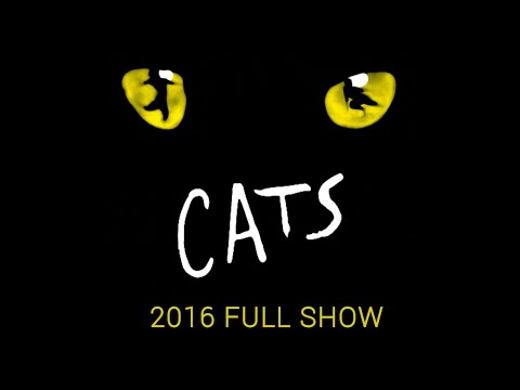 CATS 2016 tour ✨full show✨