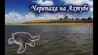 Ссылка