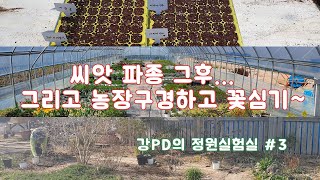 파종 결과 공개? 강PD의 야생화농장? 강PD의 실험정원? /정원/조경/