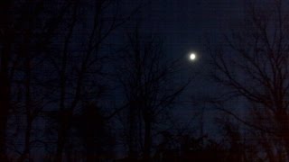 Sunz of Man-Illusions