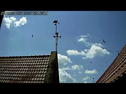 DAY 8 : BATTLE OF KISSES - SP HABIBIE & HABIBAH BY HASRUL