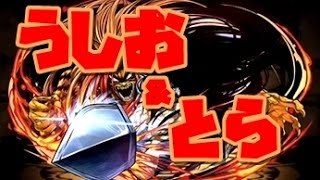 [극한의 투기장3] 우시오&토라PT