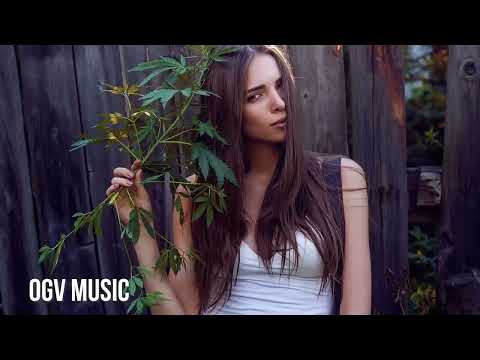 satin jackets favorite playlist 2 hours of be