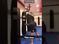 Angry boxer destroys Punching bag. SUBSCRIBE SUBSCRIBE. #Boxing#Martialarts#Gym#Taekwondo#Aikido#KO