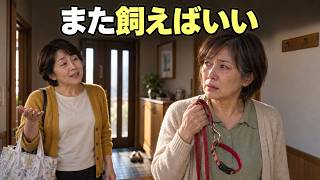 【感動する話】17年一緒にいた愛犬を亡くした55歳。よその犬と歩いた3週間