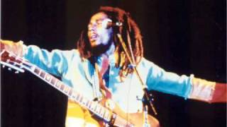 Bob Marley - The Heathen [Live]