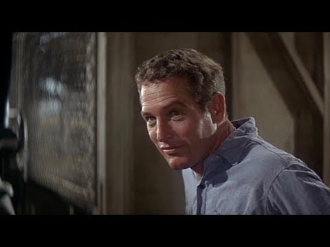 Paul Newman - Cool Hand Luke (1967)  |  Unusual Persona | An Oscar-Winning Classic Movie