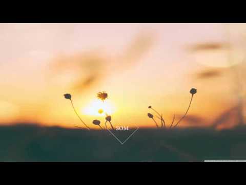 Parov Stelar - The Sun feat. Graham Candy (LCAW Remix)
