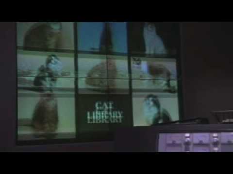 Wag the Dog Come simulare una guerra