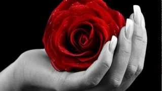 Je viens toffrir une rose Paul Severs wmv