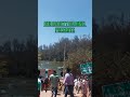 Ooty Lake Boat House Tamil Nadu India