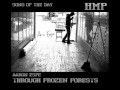 HMP SONG OF THE DAY :: THROUGH FROZEN FORESTS by AARON ESPE