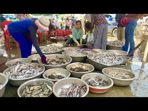 Fish Market Scene In Phnom Penh With Distribution Site, Fresh River @Kilo 9 & More
