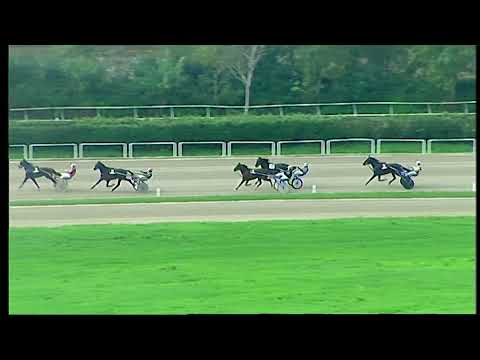 Napoli Trotto 12/11/2021 - 1ª prova di qualifica