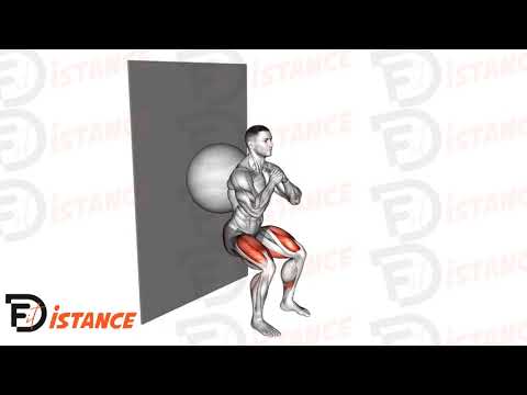 Squat contre le mur avec ballon (Swiss Ball) - Exercice Squat contre le mur avec ballon (Swiss Ball) en vidéo