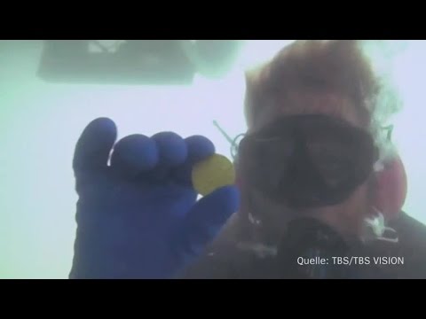 Goldschatz: Taucher finden Münzen aus dem Jahr 1715 | DER SPIEGEL