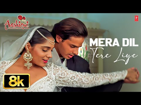 Mera Dil Tere Liye — watch video