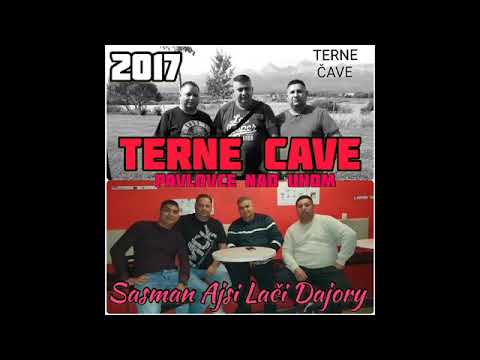 PAVLOVCE TERNE CAVE 65 - SAS MAN AJSI LACI DAJORY   BABA   rok 2017
