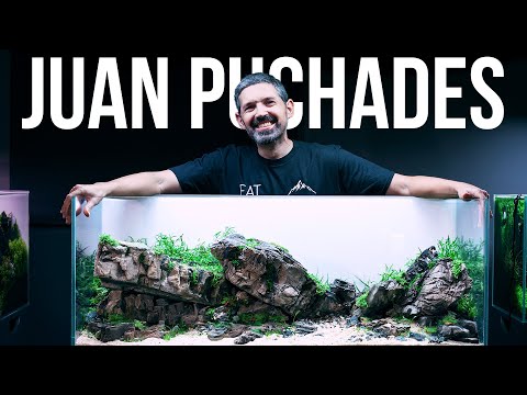 Planted Tank Legends - Juan Puchades Aquascaping Workshop