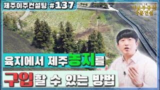 [제주도 이주 컨설팅 #137] 제주도농지를 구입할 수 있는 방법