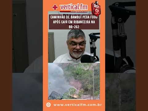CAMINHÃO DE BAMBUÍ PEGA FOGO APÓS CAIR EM RIBANCEIRA NA BR 262