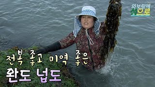 preview picture of video '전복 좋고 미역 좋은 넙도 사람들의 이야기 (2009년 제작)[와보랑께, 섬으로]'