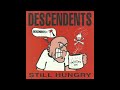 Descendents - No FB (Live)