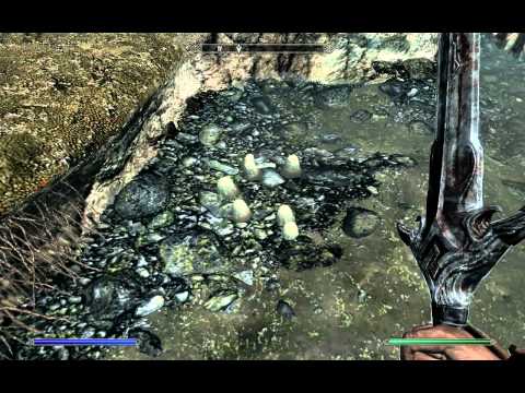 Fetid Pond - Whiterun Secondary Location Guide - Elder Scrolls 5 Skyrim