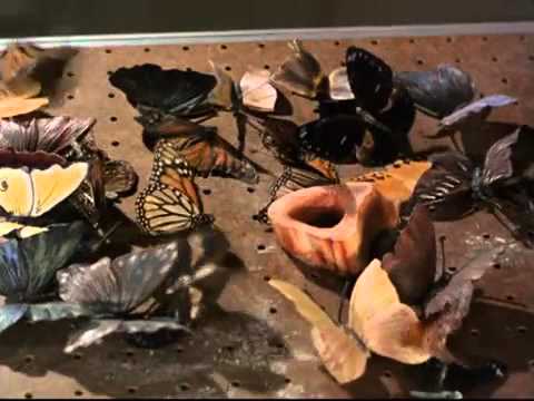 The Invaders   1967 Promo 2