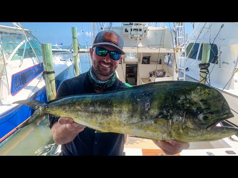 Sea Horse Charters Islamorada, FL Mahi Mahi