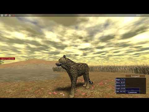 Wild Savannah - Sound Effects - The African Leopard