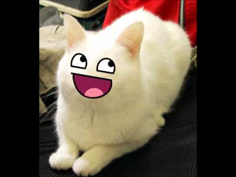 Mash up Mix Bass 2012 mixtape