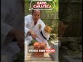 Karate Cat Breaks Bricks Like A Real Master
