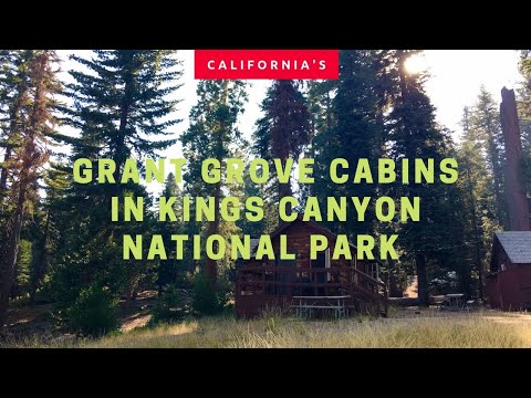 image-Are dogs allowed at Sequoia National Park?