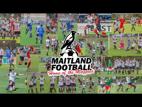 WELCOME TO OUR CHANNEL|| MAITLAND FC
