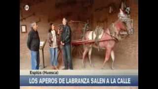 preview picture of video '2013 11 15 AA ESPLUS AGRICULTURA'