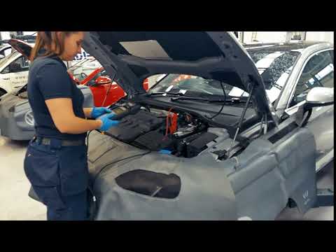 Blackwater Motors Volkswagen Mechanic Alice