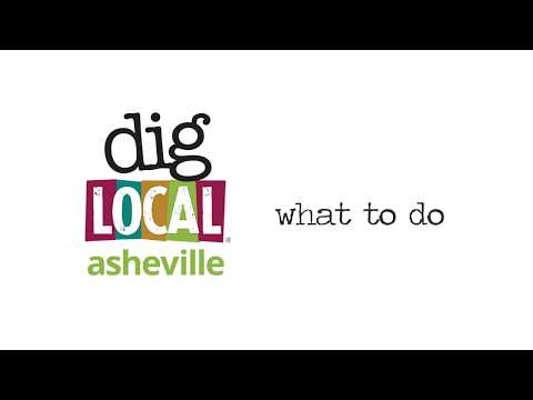 Dig Local