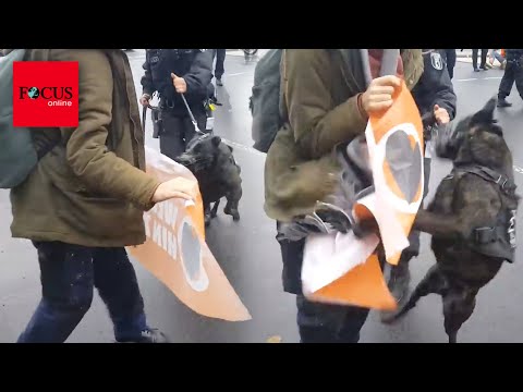 Jetzt setzt Polizei auch Hunde gegen Klima-Kleber ein