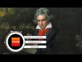 Ludwig van Beethoven: Symphony No. 5 / Людвиг ...