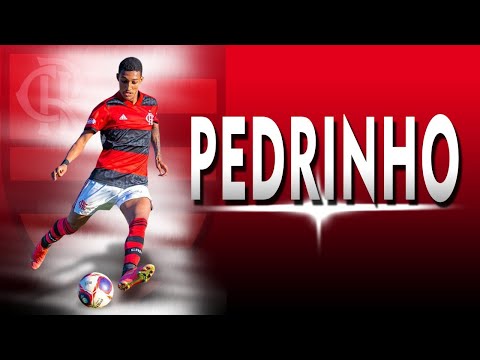 PEDRINHO | ATTACKING MIDFIELDER/PLAYMAKER | FLAMENGO - 2023 |  Skills, Goals & Assists | HD
