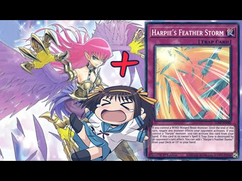 Harpie Feather Storm + Cyber Slash Harpie make my opponent QUIT