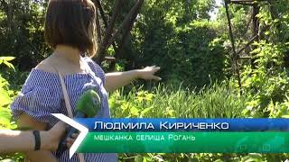 У селищі Рогань каналізаційні відходи забруднюють місцеве водоймище
